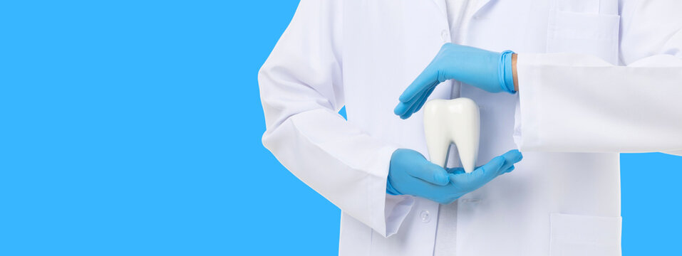 Doctor demonstrates oral health care holding a tooth model - Powered by Adobe