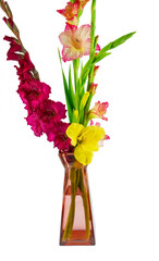 bouquet of gladiolus flower in vase isolated on white background