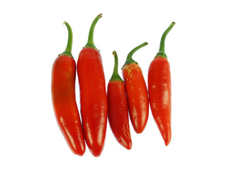 close up on fresh spicy red pepper isolated on white background