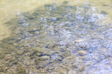Clear, clean water flowing over a rocky bottom creates a sense of tranquility. Small glimmers of light on the surface add a sparkle to this natural landscape.