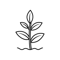 growth plant icon isolated on white