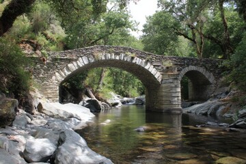 Fototapeta premium Serene Stone Arch Bridge Over Tranquil River Surrounded by Nature