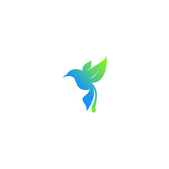 bird logo design