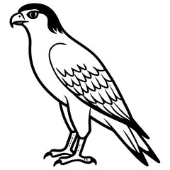 Obraz premium Vector silhouette illustration of a majestic hawk bird of prey for graphic design silhouette vector illustration white background