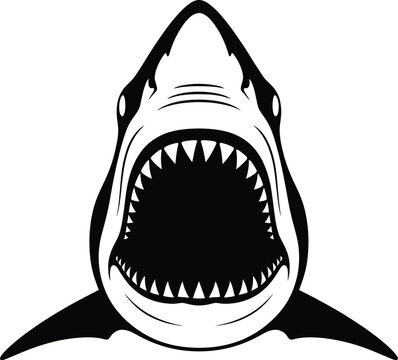 Fierce shark jaws open wide teeth open mouth