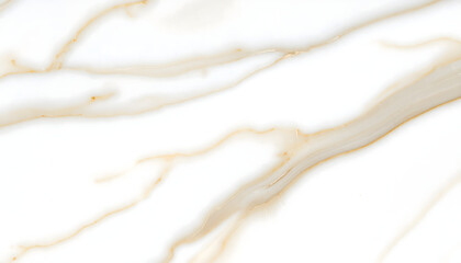 Subtle Arabescato Orobico Marble