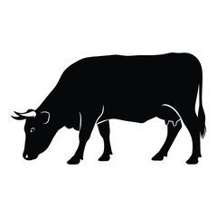 Silhouette of a cow grazing with its head down side view silhouette of livestock animal