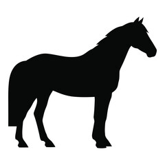 Majestic black silhouette of a standing horse elegant equine profile detailed outline
