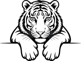 Majestic tiger face peeking over a surface majestic powerful big cat wild animal portrait