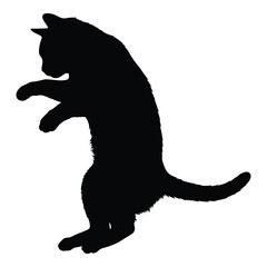 Sleek black cat silhouette standing upright playful pose adorable domestic pet
