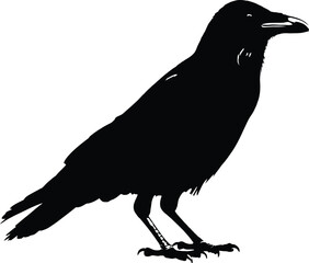 F-Caw-F SVG, Funny Crow SVG, Black Bird Shirt