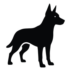 Alert silhouette of a sleek doberman pinscher dog standing proudly
