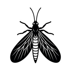 Brown Lacewing Insect Vector  