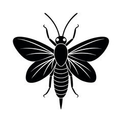 Fishfly Flying Insect Vector  