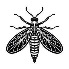 Dobsonfly Winged Insect Artwork  