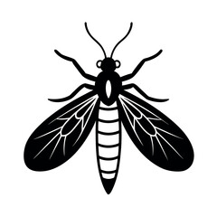 Snakefly Insect Wildlife Graphic  