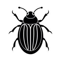 Tortoise Beetle Bug Illustration  