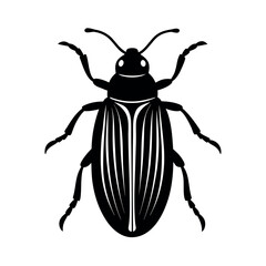 Willow Leaf Beetle Pest Artwork  