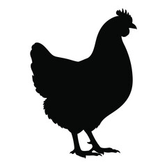 Bold silhouette of a farm chicken standing proudly detailed and simple