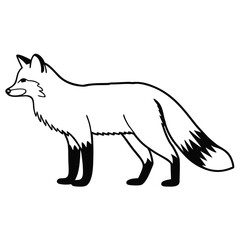 Red Fox Sitting in Natural Forest Habitat.
