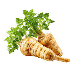 Two parsnips with green leaves