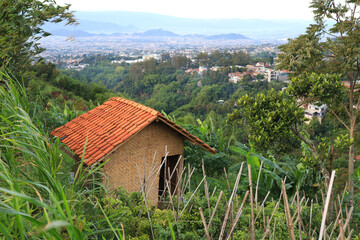 Bamboo hut in the garden with city views