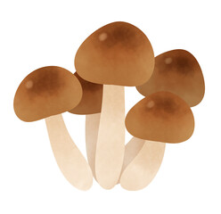 ぶなしめじのイラスト
