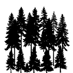 Fototapeta premium Silhouette of a Coniferous Forest: Ten Black Pine Trees Against White Background