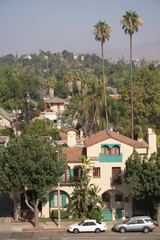 palm trees in the city