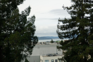 bay above city scape