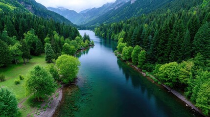 Aerial View of a Turquoise River Surrounded by Dense Evergreen Forest Under a Cloudy Sky in a Mountainous Landscape with Vibrant Green Foliage