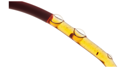 Medical Concept Of Blood Circulation Within A Tube Isolated on Transparent PNG Background.