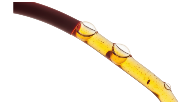 Medical Concept Of Blood Circulation Within A Tube Isolated on Transparent PNG Background.