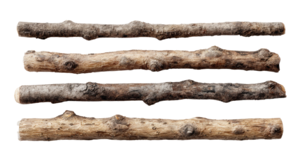 Four parallel, weathered logs