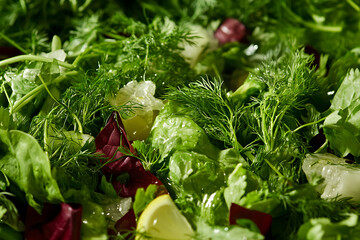 Vibrant Green Salad: Fresh Herbs, Lettuce, and Citrus