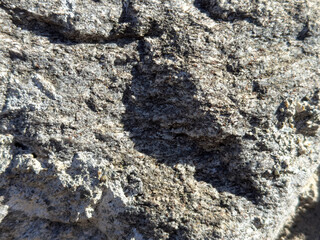 Close-up of rough textured grey rock surface under sunlight