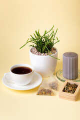 Cup of black tea, home plant rhipsalis, candle and tea leaves in a beautiful composition on beige background. Tea time. Tasty hot tea. Cozy atmosphere.