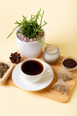 Cup of black tea, home plant rhipsalis, candle and tea leaves in a beautiful composition on beige background from above. Tea time. Tasty hot tea. Cozy atmosphere.