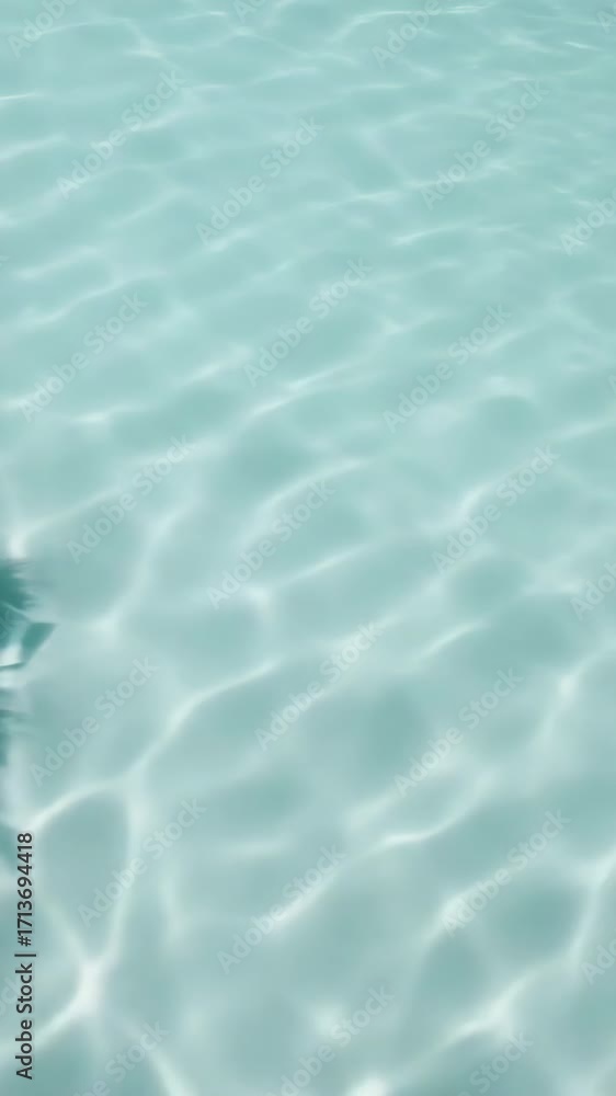 Poster a palm tree is in the water with the water reflecting the tree. the water is calm and the palm tree 