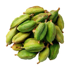 Culinary delight harvesting green cardamom pods in the outdoors isolated on transparent background