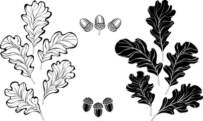 Monochrome oak leaves