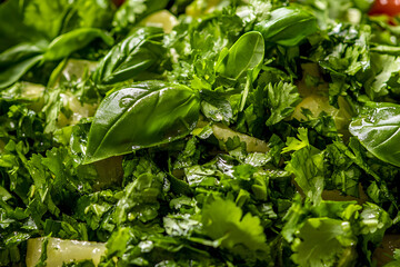 Fresh Green Salad with Herbs and Vegetables: Close-up Photography of a Healthy Meal