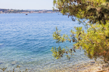 Tranquil Sea View with Pine Trees and Distant Town