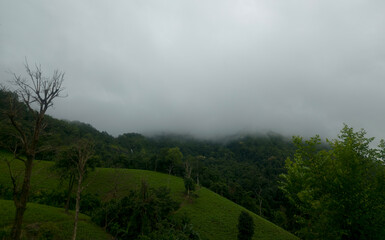 Mountain shrouded in clouds: A misty veil gently caresses the peaks of a verdant mountain range, the overcast sky casting a tranquil mood over the landscape.