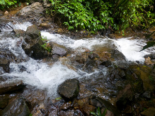 Flowing Stream Through Lush Vegetation: The image captures the mesmerizing movement of a clear mountain stream carving its way through a verdant landscape, a symphony of nature's elements.