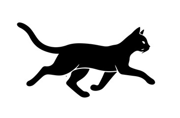 Fototapeta premium black cat isolated on white