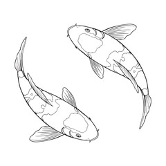 Koi carp, Japanese fish. Engraved hand drawn line art Vintage tattoo monochrome sketch