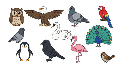 Obraz premium Diverse Avian Ensemble: A vibrant collection of illustrated birds, each with unique characteristics, stands out against a bright backdrop.