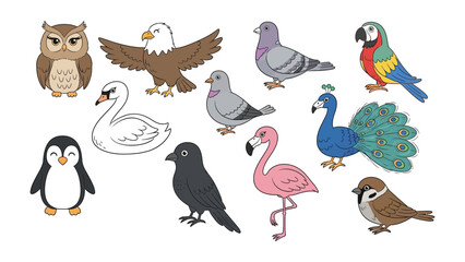 Obraz premium Diverse Avian Collection: A vibrant assortment of meticulously illustrated birds, showcasing the unique beauty and diversity of avian life in a captivating display of colors and forms.