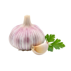 Single Garlic Bulb and Clove with Parsley on White Background